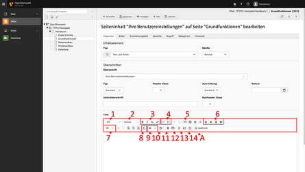 Blick auf die Texteingabe in einem Inhaltselement mittels Rich Text Editor