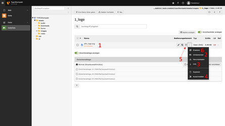Fokus, was mit Dateien in TYPO3 gemacht werden kann